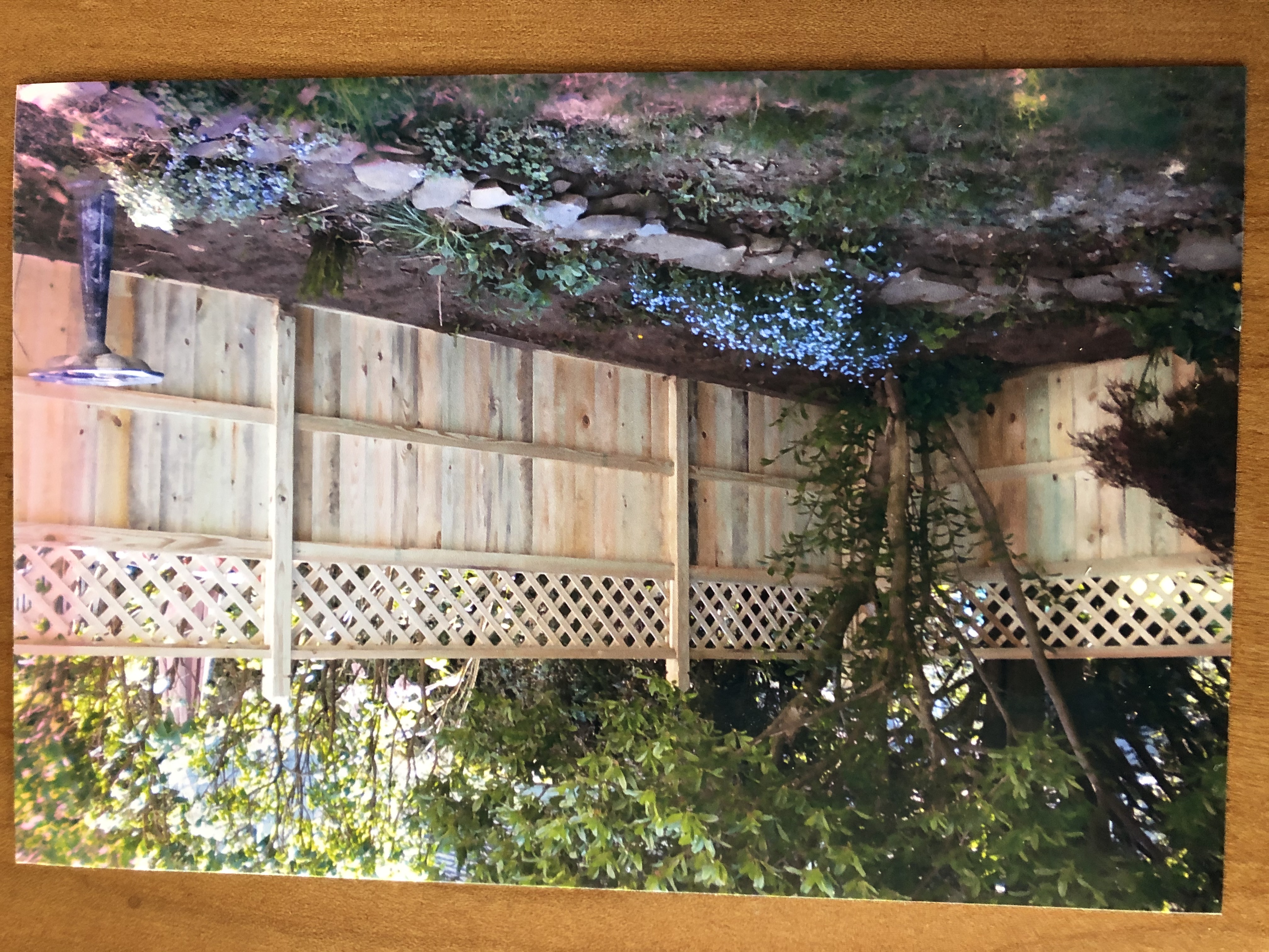 Board Privacy Fence